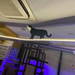 猫まるカフェ - 