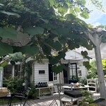 Sajilo Cafe Forest - 