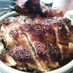 イチビキ - うなぎまぶし