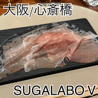 スガラボヴィー - 