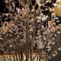 フナシェフ - 店内も春らしく