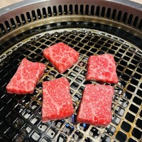 近江うし焼肉 にくTATSU 渋谷店 - 