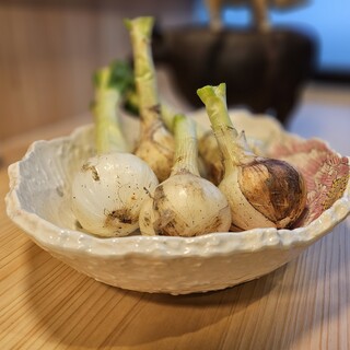 Fresh vegetables eaten over charcoal grill♪