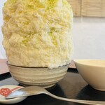 こひる庵 - 春乃抹茶　通常サイズ　1550円　3月中旬頃まで！
