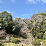 葵屋 びいどろ茶寮 - 