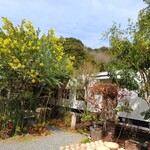 山の口食堂 - 