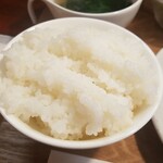 キッチン ブルー グローブ - ご飯大盛りのアップ