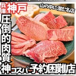 Wagyu Ikiru - 