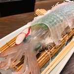 Aburirobata Yamao - 