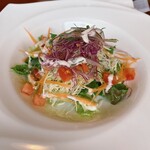 プランツ - サラダ