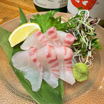 Various sashimi (salmon/tuna/sea bream)