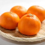 和食 紗心 - 