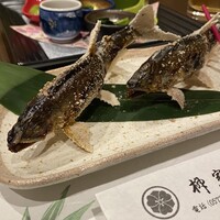 柳家錦 - 和良鮎