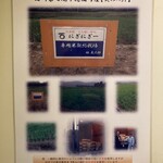 日本橋 にぎやかにぎり 一 - 