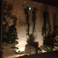RISTORANTE YAGI - 
