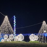 大戸屋 - 佐世保五番街の夜景① イルミネーションが幻想的です。