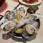 Oyster Bar ジャックポット - 