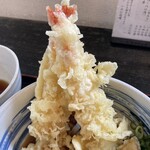 本格手打ちうどん とも作 - とも作ぶっかけ（海老天 アップ）