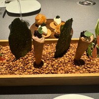 プレヴナンス - 