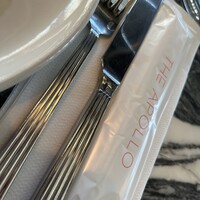 THE APOLLO - 