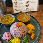 Curry Spice Gelateria KALPASI - 