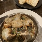アルポルト - 