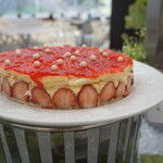 オアシス - フレジェ