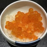 鮨 せいざん - 底にとびっ子