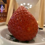 YAOKO - 料理写真:すげーーー！