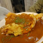 鶏'sすたいる - もも唐１枚カレー