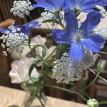 レストラン 山猫軒 - 