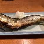 Robata Toramaru - 