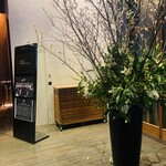 XEX 日本橋 Salvatore Cuomo Bros. - 