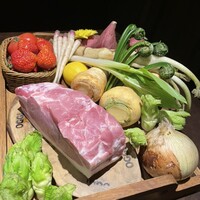 オッジ ダルマット 西麻布店 - 