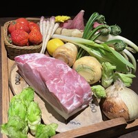 オッジ ダルマット 西麻布店 - 