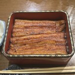 Unagi Hashimoto - 