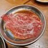 炭火ホルモン焼肉 ひゃくてん 溝の口
