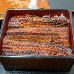 Unagi Saitaniya - 