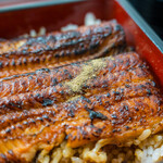 Unagi Saitaniya - 