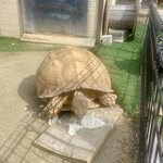 Coffee Tamachan Nouen