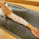 Sushi Dokoro Tatsutoshi - 牡丹エビ