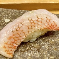 鮨処 竜敏 - キンキ