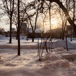 バード・ウォッチ・カフェ - 朝の景色