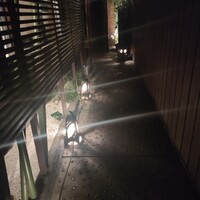 神楽坂 SHUN 分家 - 