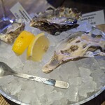 5108 MUSSEL&GIN ALSO