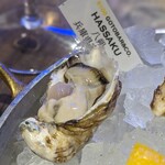 5108 MUSSEL&GIN ALSO