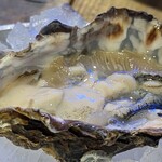 5108 MUSSEL&GIN ALSO