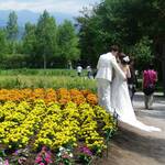 ファーム富田 - 