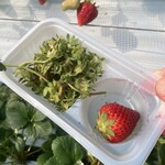 千疋いちご園 - 