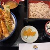 Tendon Tenya - 